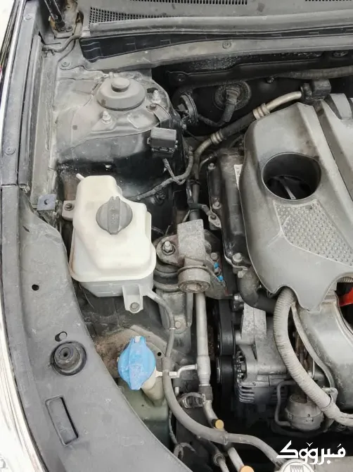 ازيرا غراند 2012/حمص حمص - الصورة 11