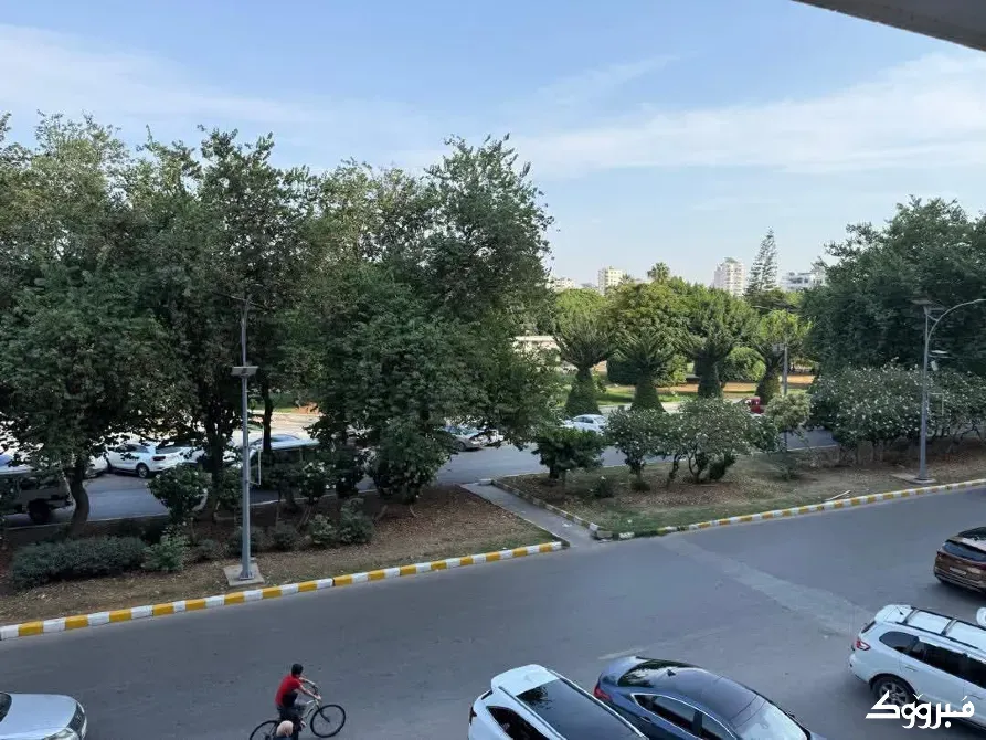 مكتب بنص البلد /طرطوس طرطوس - الصورة 2