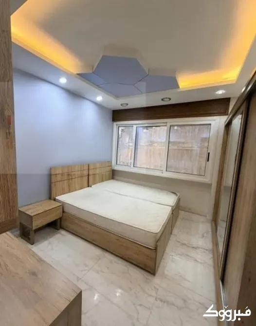 شقة /دمشق /الجزيرة 16 دمشق - الصورة 3