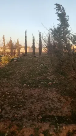 ارض للبيع/ريف دمشق/العادلية دمشق