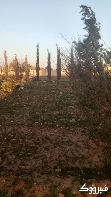 ارض للبيع/ريف دمشق/العادلية Damascus - photo 1