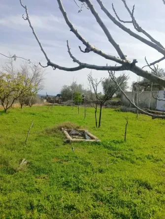 بيت ارضي (عربي) للبيع// طرطوس طرطوس