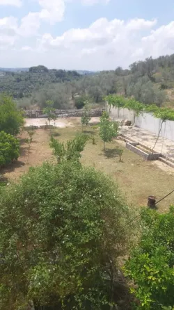 بيت ارضي (عربي) للبيع// طرطوس طرطوس