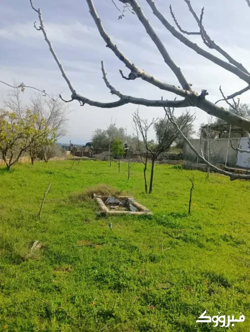 بيت ارضي (عربي) للبيع// طرطوس طرطوس - الصورة 6