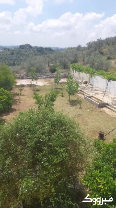 بيت ارضي (عربي) للبيع// طرطوس طرطوس - الصورة 5