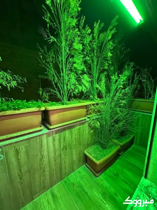 شقة للايجار//أبو رمانة دمشق - الصورة 13