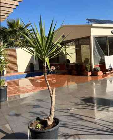 شقة للاجار عقد سنوي دمشق