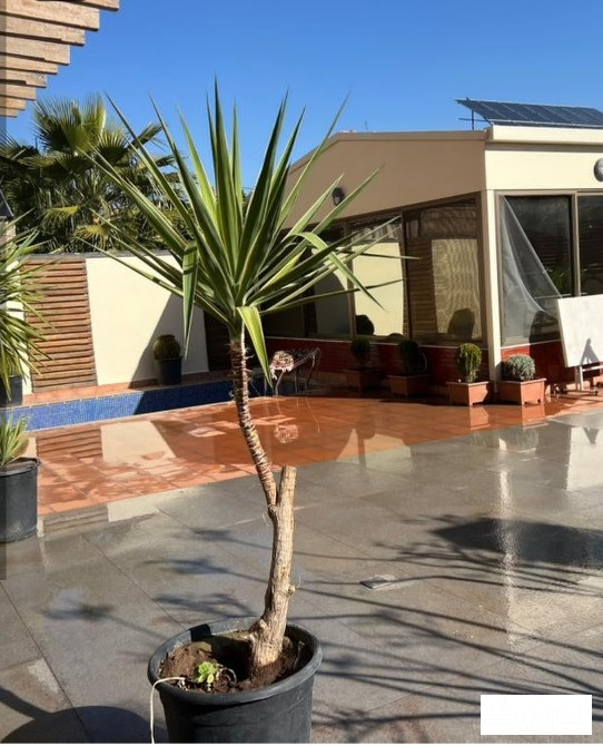 شقة للاجار عقد سنوي دمشق - الصورة 6