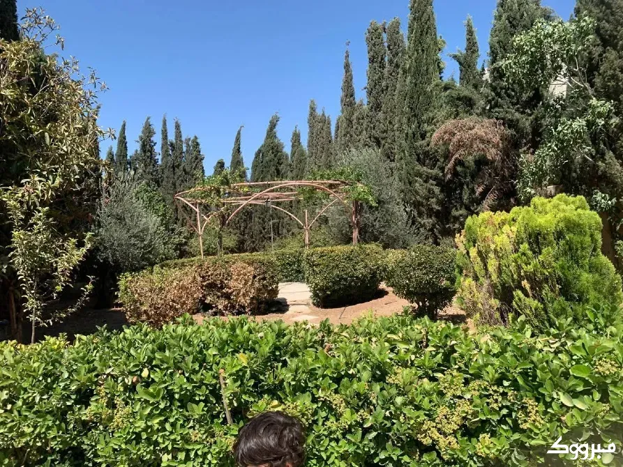 فيلا للبيع//صحنايا دمشق - الصورة 4