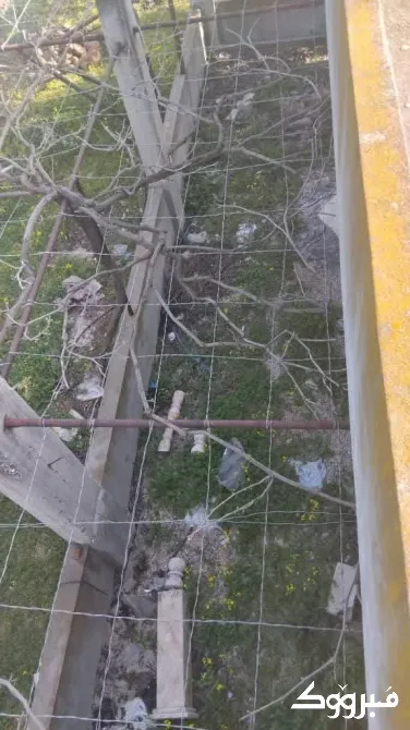 شقة مع ارض //خربة التين//حمص حمص - الصورة 3
