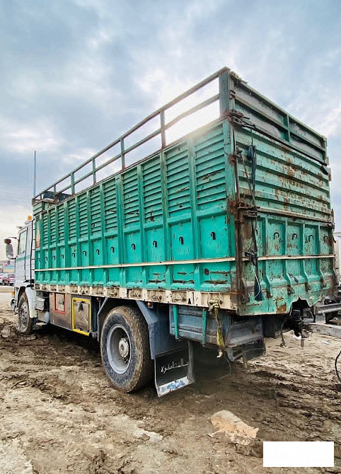 شحن سكانيا الرقة/فراقة الرقة - الصورة 4