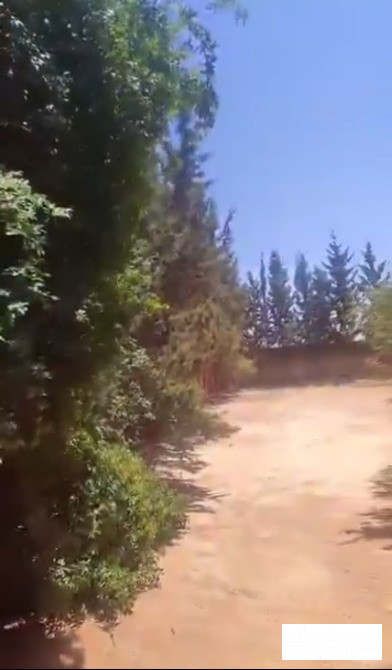 مزرعة للبيع حمص الزهورية الصالحية حمص - الصورة 5