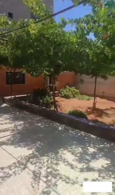 مزرعة للبيع حمص الزهورية الصالحية حمص - الصورة 6