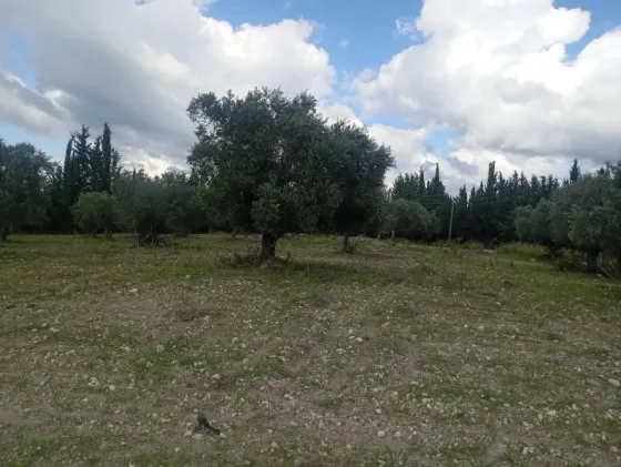 أرض للبيع //اللاذقية//الدروقياات Latakia