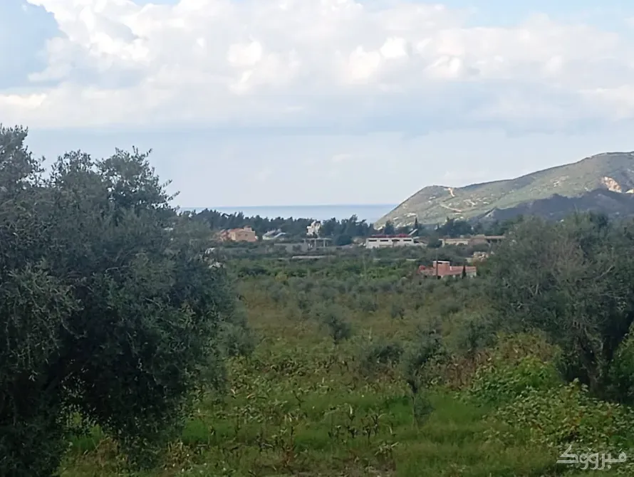 أرض للبيع //اللاذقية//الدروقياات Latakia - photo 2