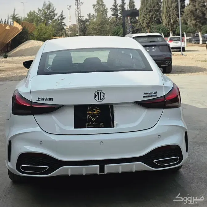 MG 2026 //دمشق //قبل مفرق جسر عقربة دمشق - الصورة 4